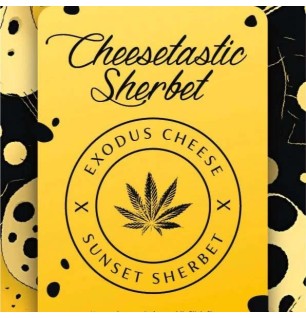 Cheesetastic Sherbet